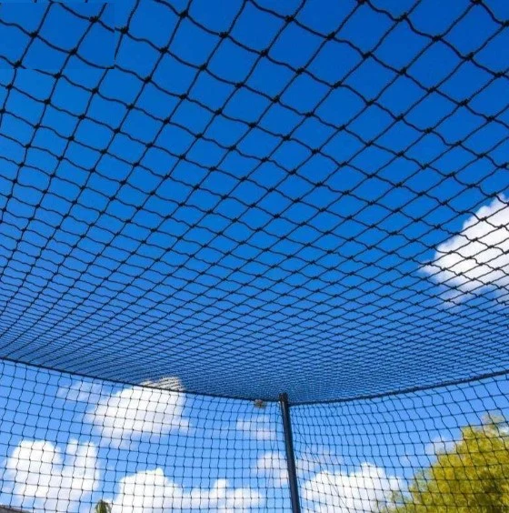 Filet de cage de frappeur - Image 3