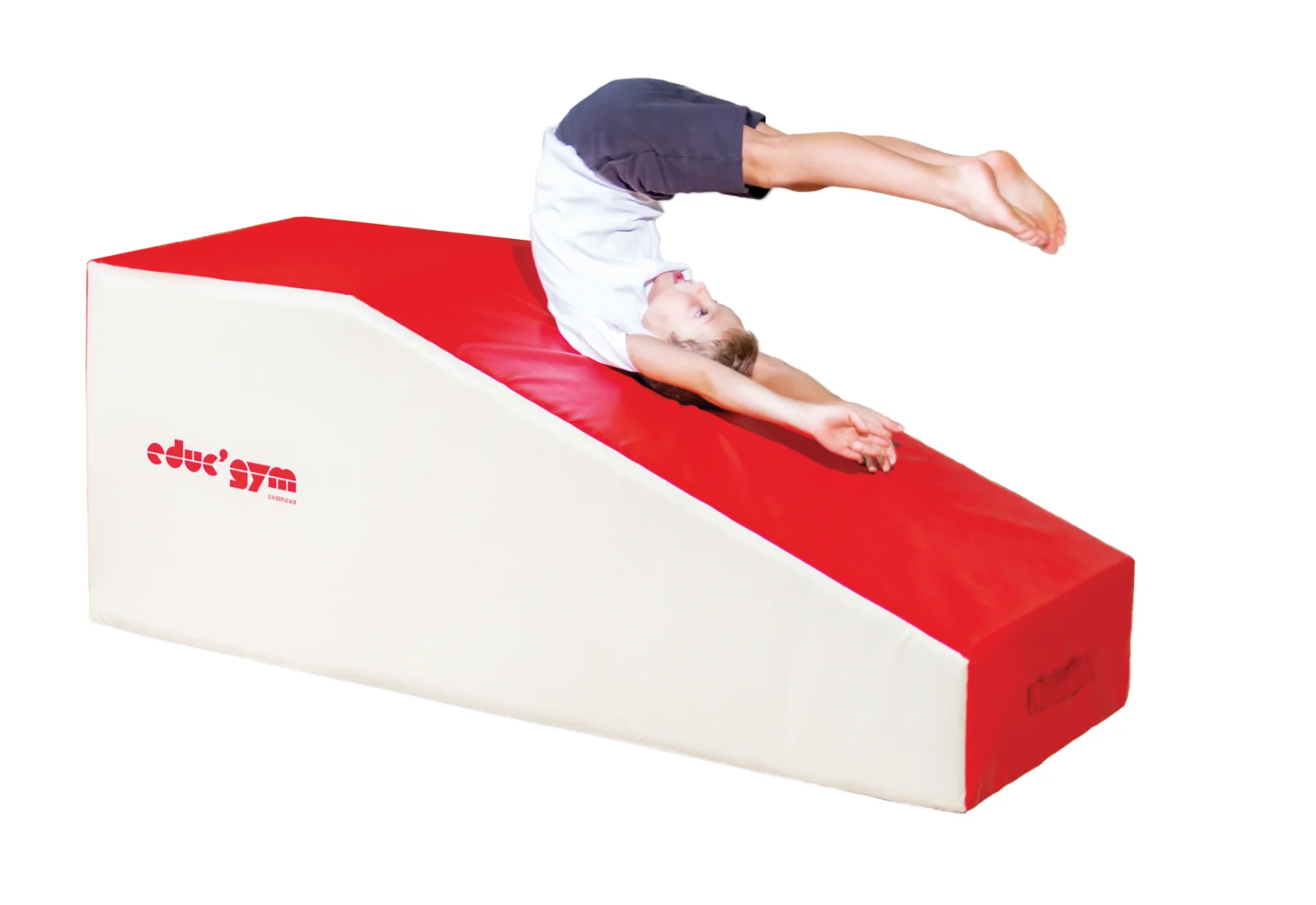 Grand module pan coupé gymnova - Image 2