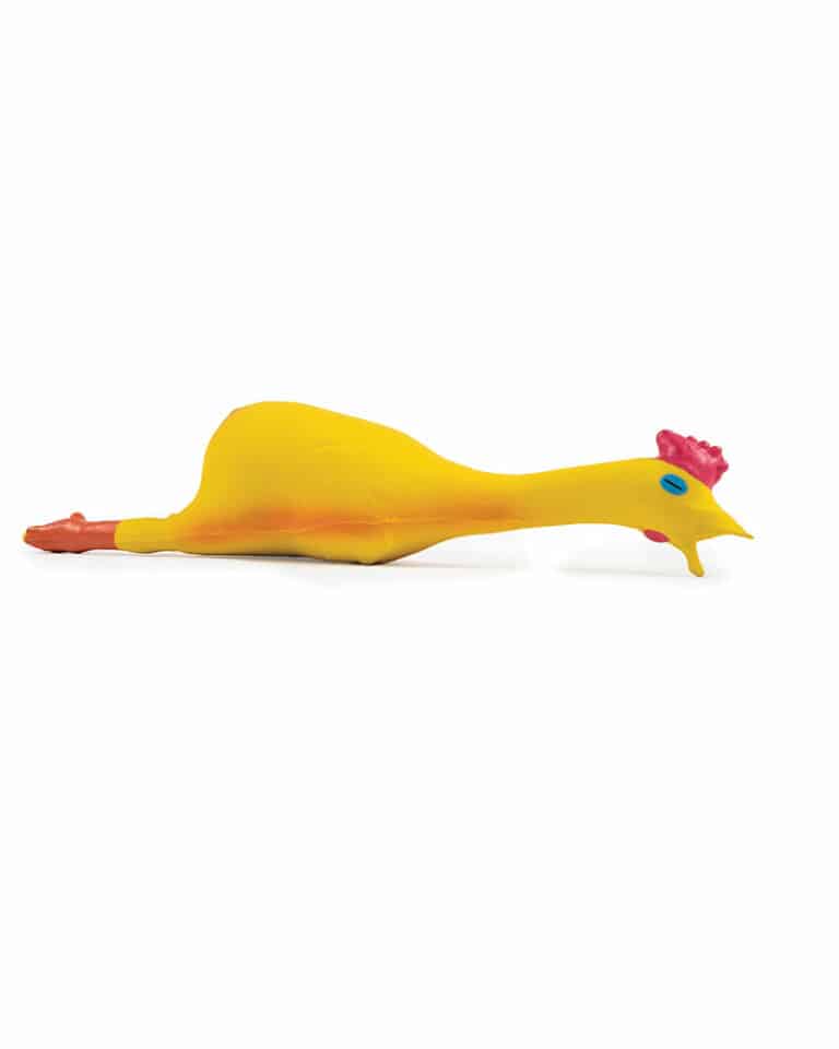 Jouet poulet a lancer