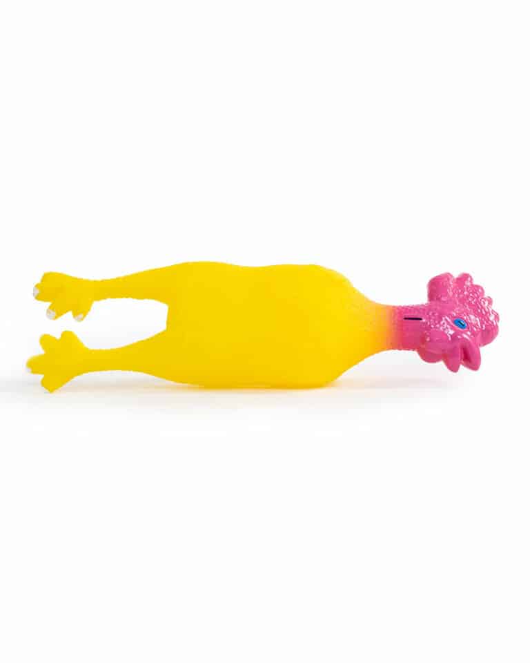 Jouet poulet a lancer - Image 2